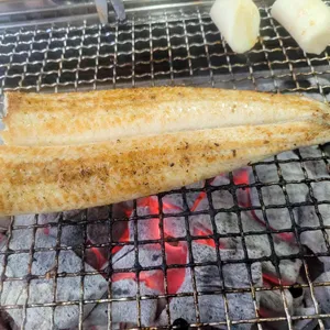 풍천민물장어직판장 사진 2