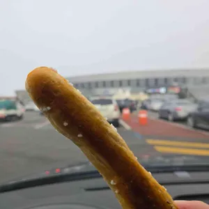 프레즐 사진