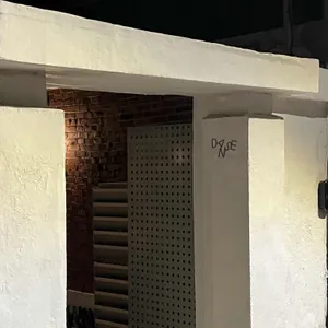 당스 리뷰 사진