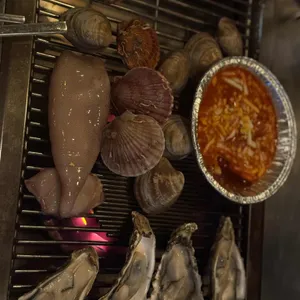 하와이조개 사진