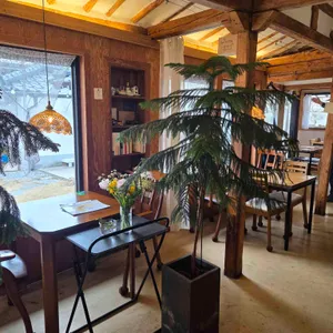 벨라루나 리뷰 사진