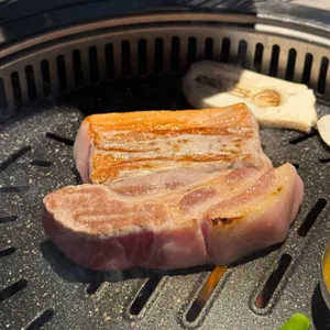 도몽 사진