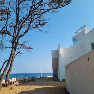 Auspice coffee 리뷰 사진