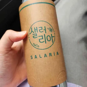 샐러리아 사진 2