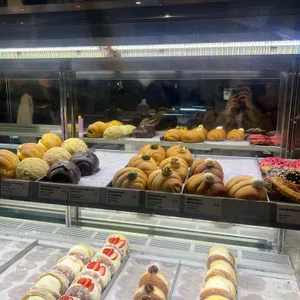 노티드 사진
