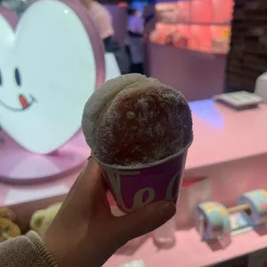 노티드 사진