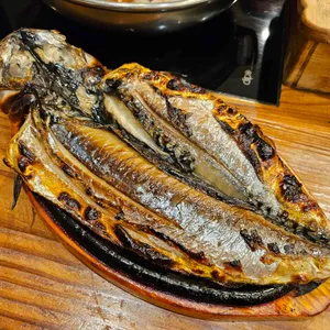 멸치부터 고래까지 사진