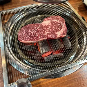 와한우다 사진