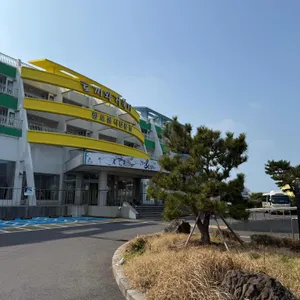 토끼와 거북이 사진 2