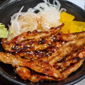 홍대개미 사진