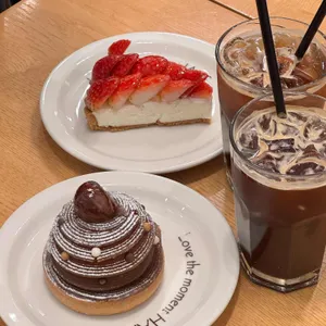 한스 사진 2