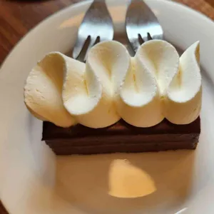 폴리 사진