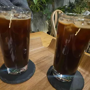 롶속 사진 2