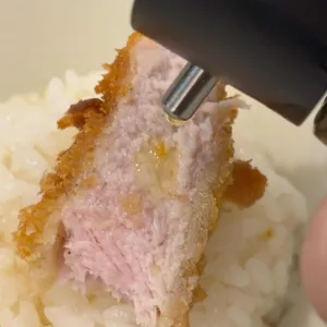 카츠쇼신 사진 2