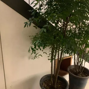 레이더 리뷰 사진