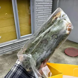 투떰즈업 사진