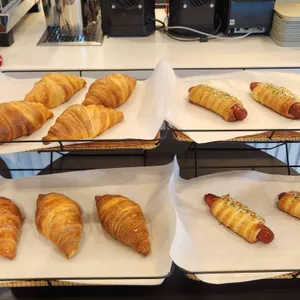 노바운더리 사진