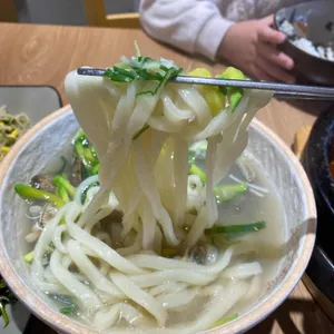 돌애 사진