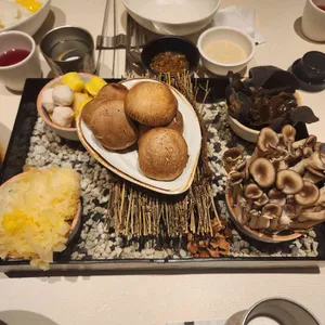 노야 사진 2