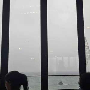 보사노바 리뷰 사진