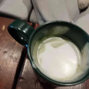 녹화 사진