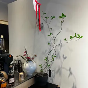 하이퍼스탠다드커피랩 리뷰 사진