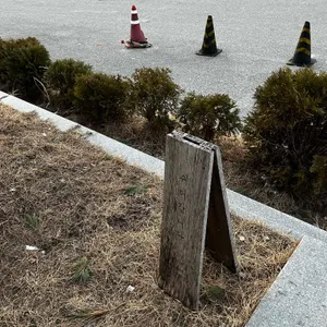 단편 리뷰 사진