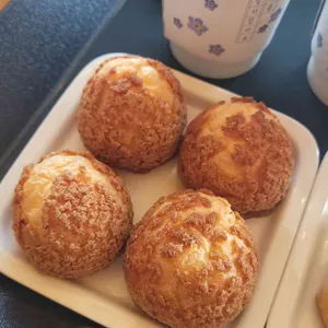 파루시아 사진