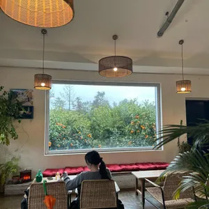 덴드리 리뷰 사진