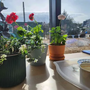 홈커밍 대표 사진