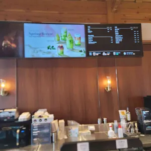 폴 바셋 리뷰 사진