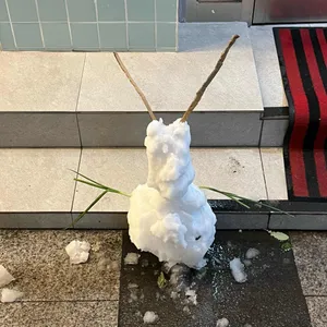 수오미엔 리뷰 사진