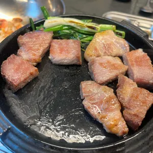 여수 동백 사진