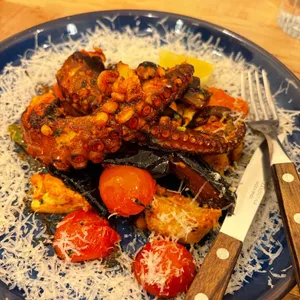 트라가 사진