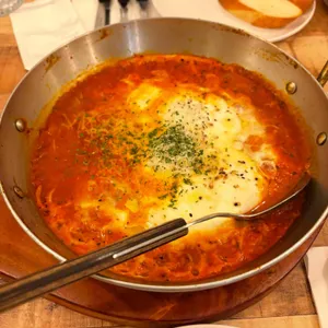 트라가 사진