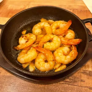 트라가 사진