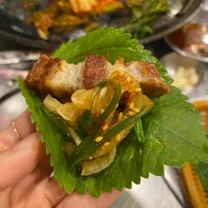 목구멍 사진