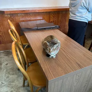올데이모즈 리뷰 사진