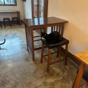 올데이모즈 리뷰 사진