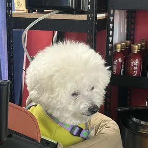 신난 낙지닭 리뷰 사진