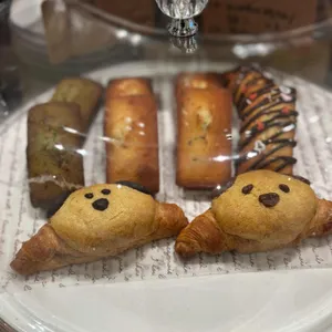 카모 사진
