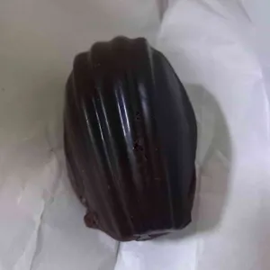 릴리브 사진