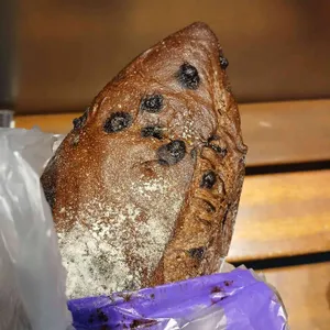 베이커리토끼굴 사진