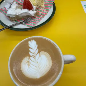 프롤라 사진 2