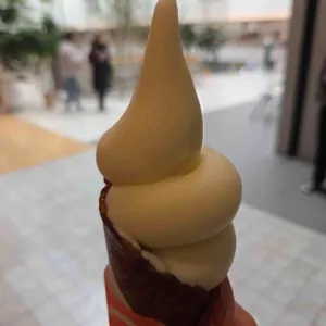 베르그 사진