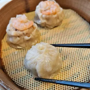 하이보 사진