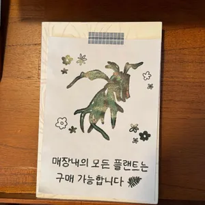오우뉴 리뷰 사진
