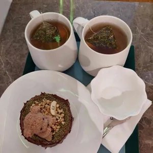 포레스트 사진