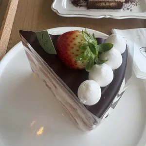 디아즈 사진