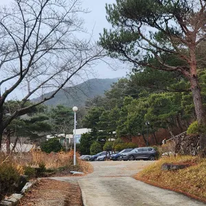 방목리 카페 리뷰 사진